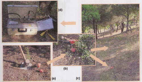 Polarización inducida